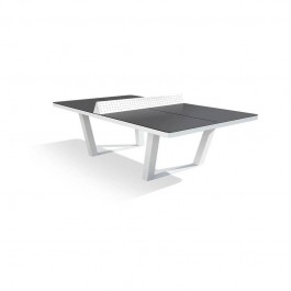 Table ping pong pro gris