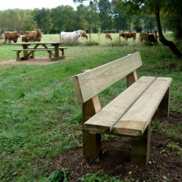 Banc en bois pour collectivité