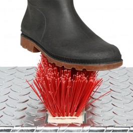 Brosse pour chaussure