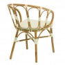 Fauteuil terrasse restaurant rotin synthétique crème et vert d'eau