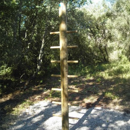 module parcours sportif mât à grimper