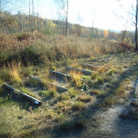 parcours sportif extérieur Rondins à sauter
