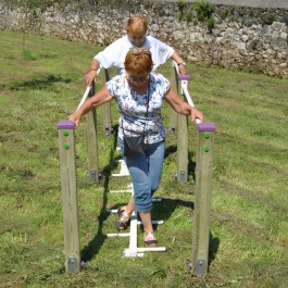aire de fitness plein air avec module barres parallèles pour senior