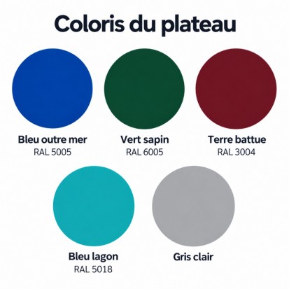 Table de ping-pong résine DIABOLO bleu outre mer