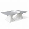 Table de ping-pong résine DIABOLO gris clair