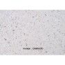 tables-pique-nique-beton_table-de-pique-nique-en-beton-candice