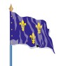 Le drapeau de province