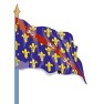 Le drapeau de province