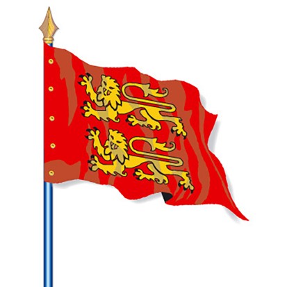 Le drapeau de province