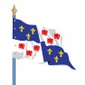 Le drapeau de province