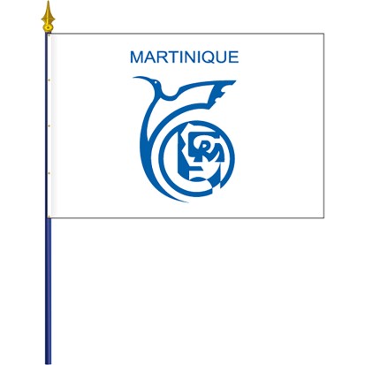 Le drapeau de région.