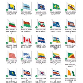 Les pays du monde. Le pavillon international