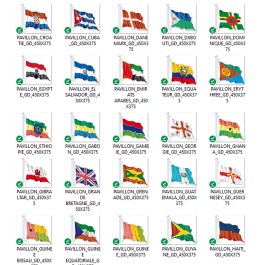 Les pays du monde. Le pavillon international