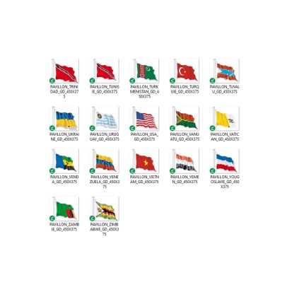 Les pays du monde. Le pavillon international