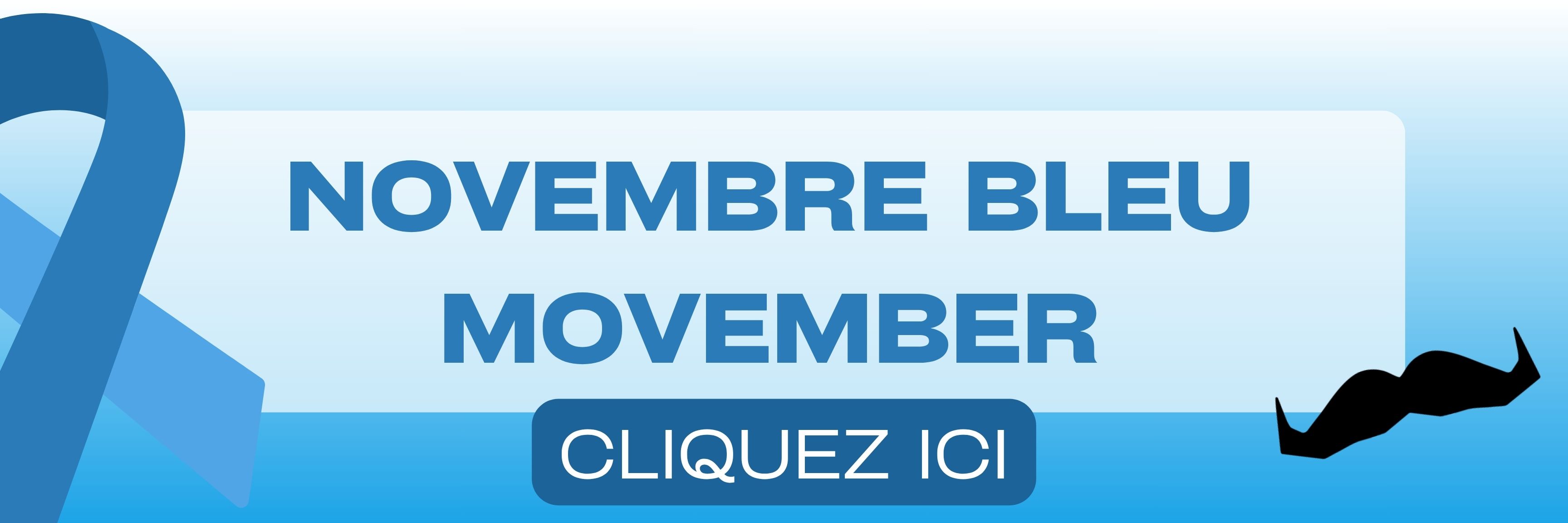 Drapeau sur hampe Novembre Bleu