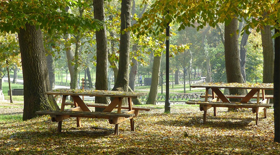 Table pique-nique en bois : la clé pour aménager des espaces accueillants
