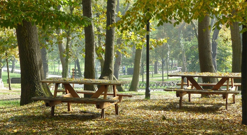 Table pique-nique en bois : la clé pour aménager des espaces accueillants